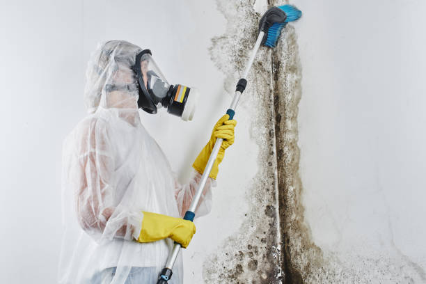 Dehumidification Services in Greenwood, PA